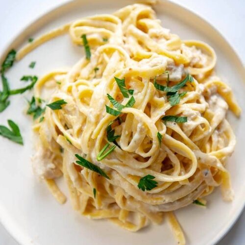 Chicken Alfredo Spaghetti pasta | ShopHere